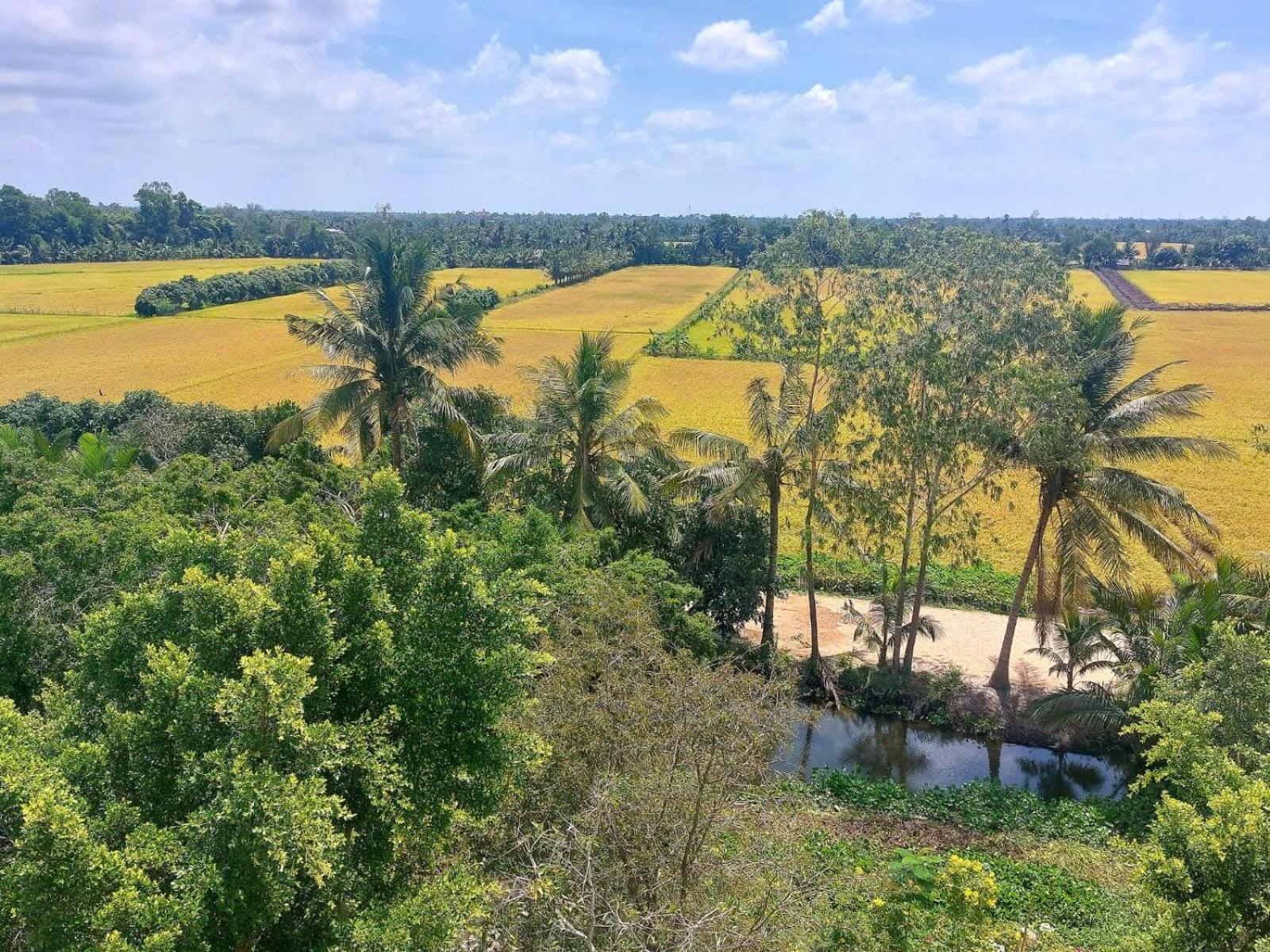 Tran Phu Riverside House كان ثو المظهر الخارجي الصورة